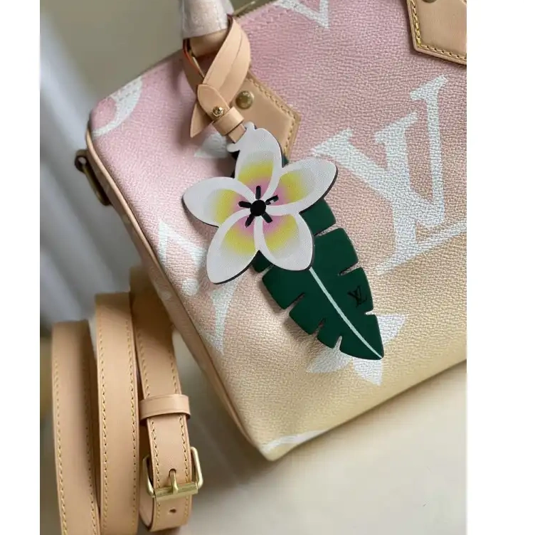 LV 2105GV0093 Bags 0209